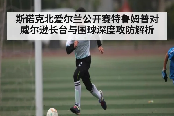 斯诺克北爱尔兰公开赛特鲁姆普对威尔逊长台与围球深度攻防解析